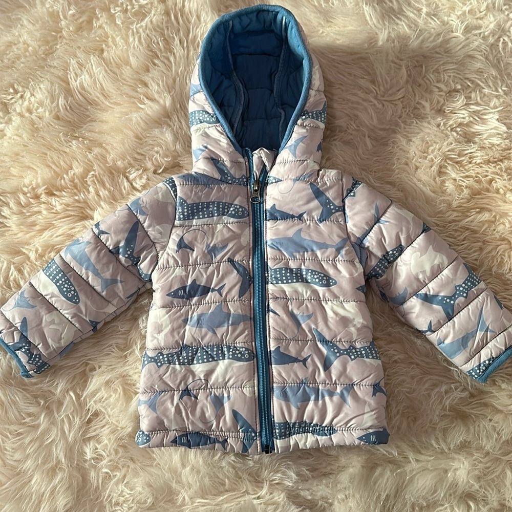 Kickee Pants shark Jacket